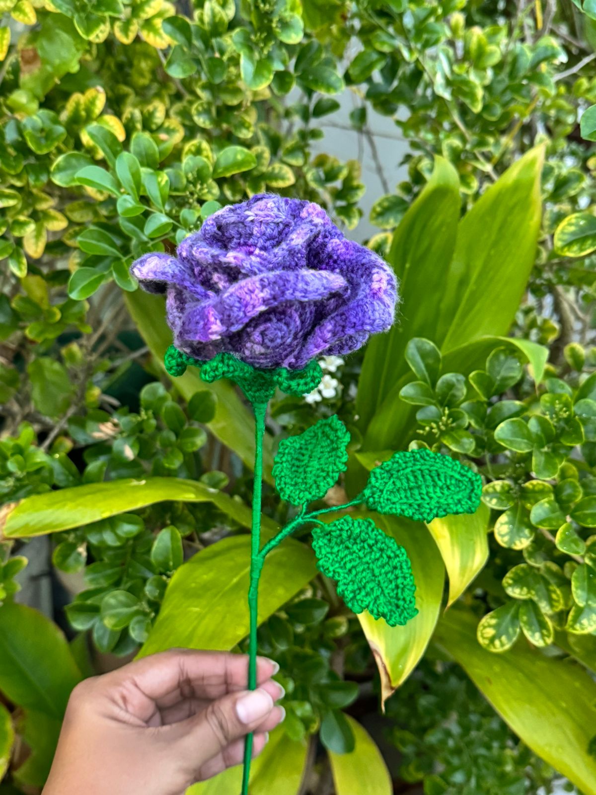 Choose 3 flowers for your MVR 500 gift Bouquet